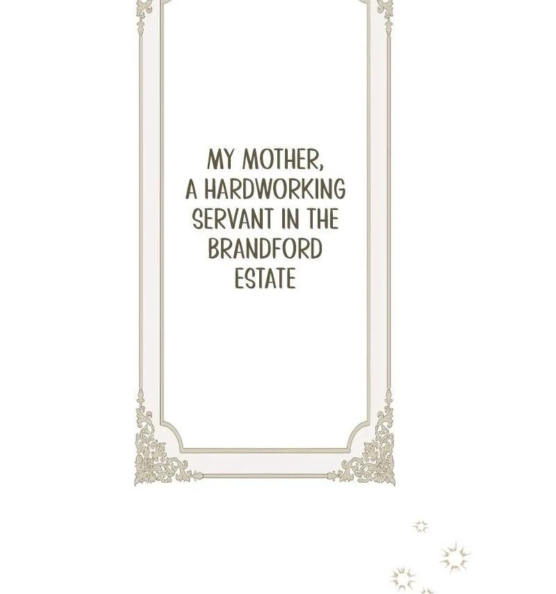 71590074 800 855 23888